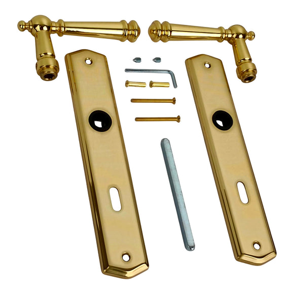 2 poignées de porte ATTILA, Entrée de clé pour chambre, Finition laiton poli doré, Entraxe standard 195 mm