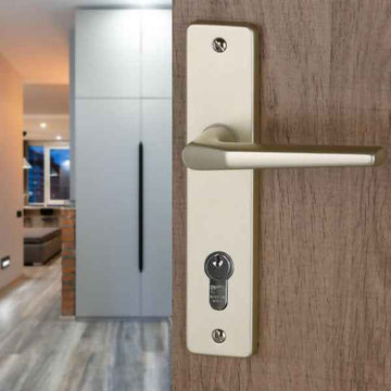 2 poignées de porte sur plaque CHAMONIX, Trou de cylindre - entrée - bureau - service, Finition aluminium anodisé F2 doré, Entraxe 165 mm