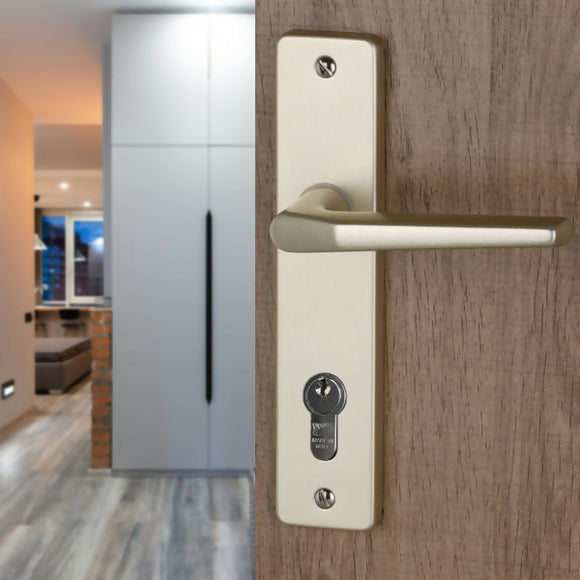 2 poignées de porte sur plaque CHAMONIX, Trou de cylindre - entrée - bureau - service, Finition aluminium anodisé F2 doré, Entraxe 165 mm