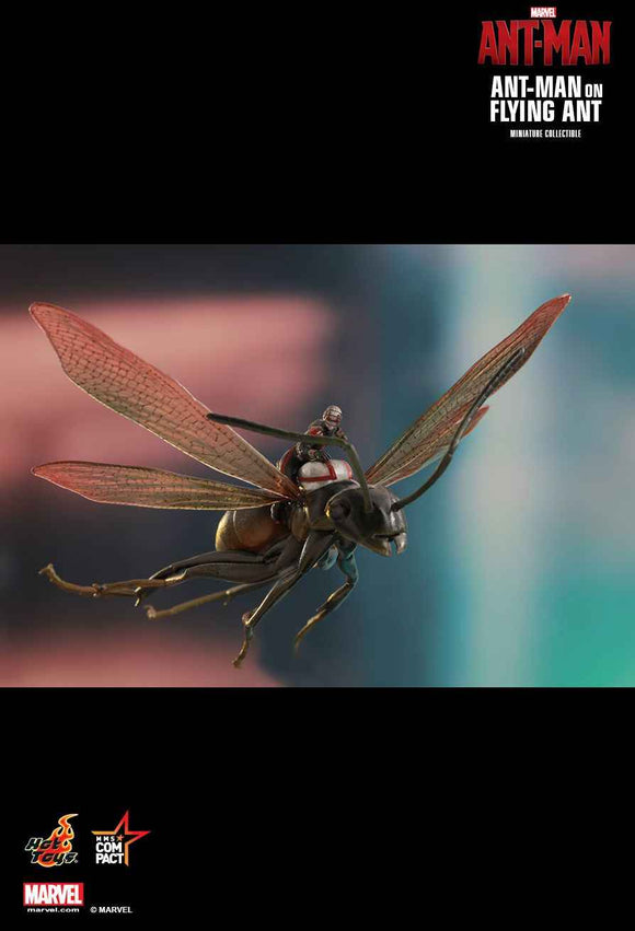Figurine Hot Toys MMSC003 - Marvel Comics - Ant-Man - Ant-Man On Flying Ant