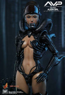 Figurine Hot Toys HAS002 - AVP - Alien Girl