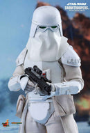 Figurine Hot Toys VGM25 - Star Wars Battlefront - Snowtroopers