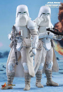 Figurine Hot Toys VGM25 - Star Wars Battlefront - Snowtroopers