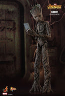 Product Image-3