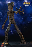 Product Image-2