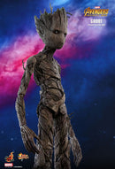 Product Image-4
