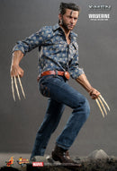 Product Image-2
