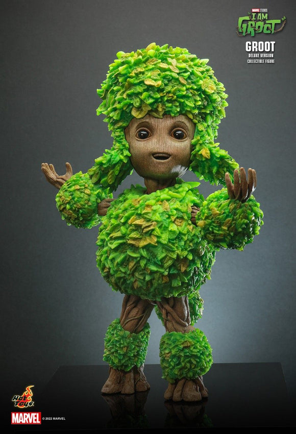 Product Image-2