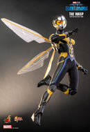 Product Image-4