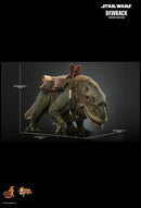 Product Image-2