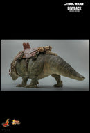 Product Image-4