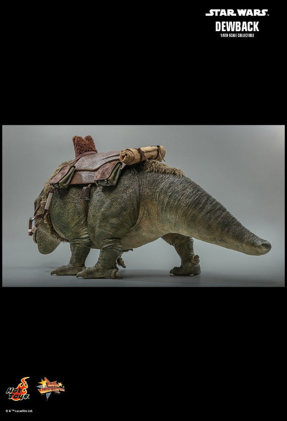 Product Image-4