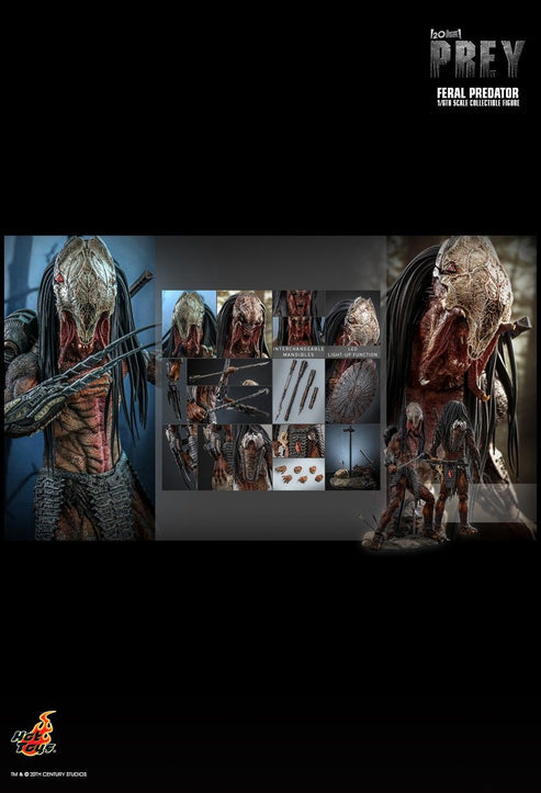 Product Image-0