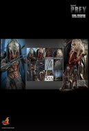 Product Image-0