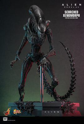 Product Image-1