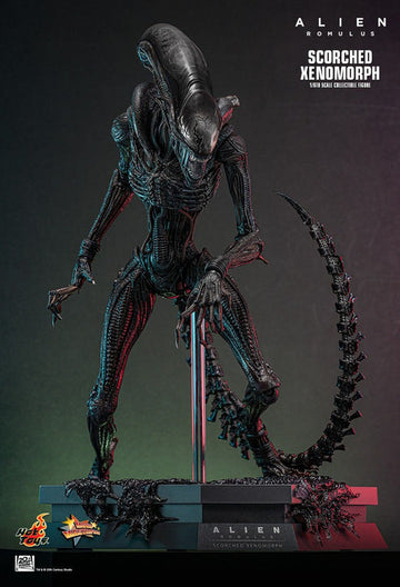 Product Image-1
