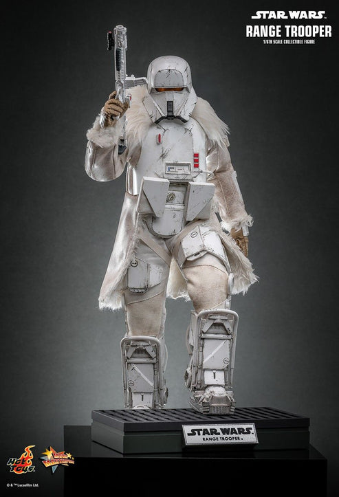 Product Image-4