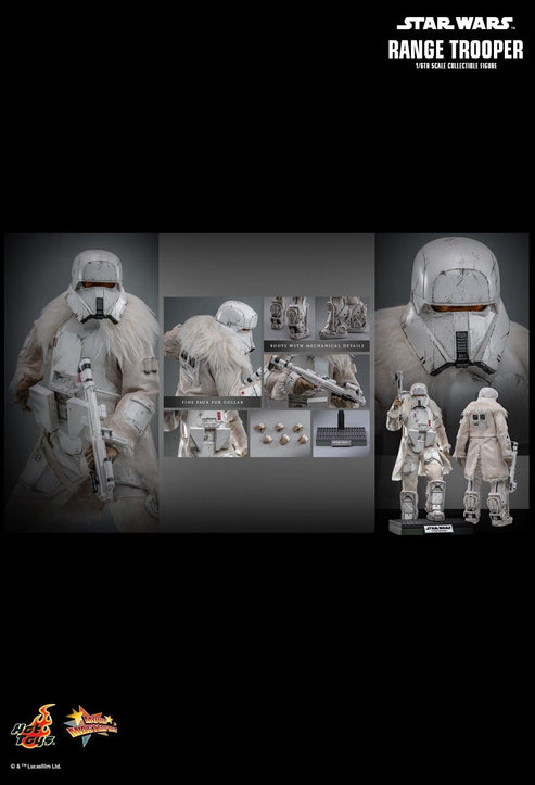 Product Image-3