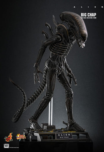 Product Image-0