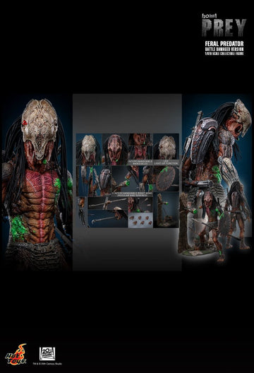Product Image-1