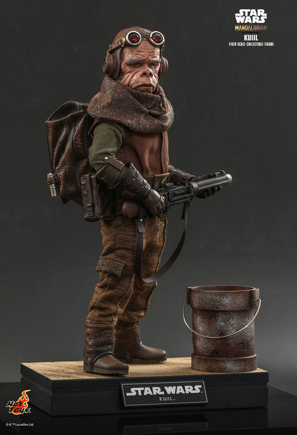Product Image-3