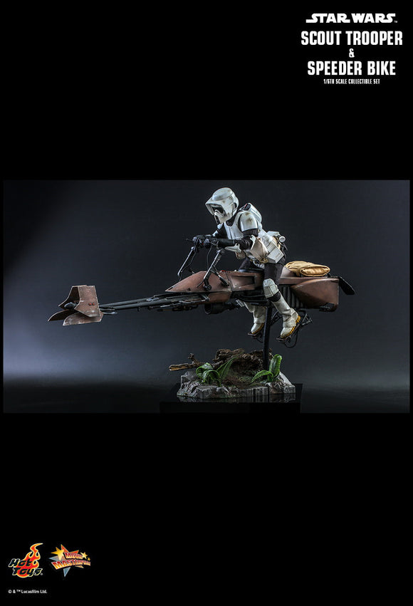 Product Image-3
