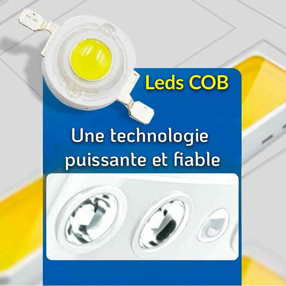 Projecteur Solaire avec détecteur de mouvement - PROSOLA