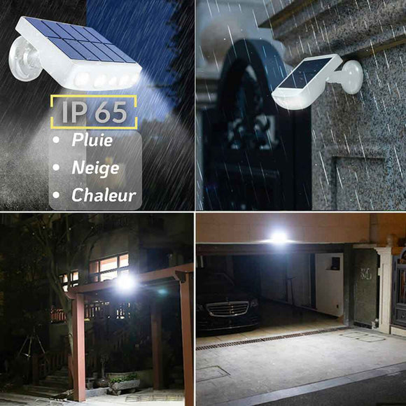 Projecteur Solaire avec détecteur de mouvement - PROSOLA