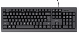 Trust Basics keyboard USB QWERTY US English Black