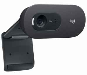 Webcam HD Logitech C505 avec microphone longue portée