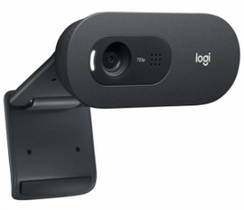 Logitech C505 HD Webcam