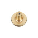 Bouton de meuble LEDER, Finition métal doré et cuir