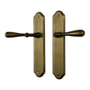 2 poignées de porte sur plaque CARINA, Sans trou pour pièce à vivre, Finition laiton patiné, Entraxe stand 195 mm