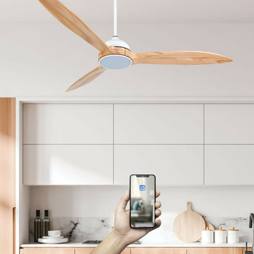 Ventilateur-plafond-FANELITE-ZENA-Situation