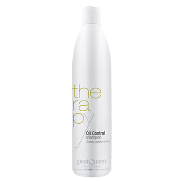 Shampooing anti-graisse 500ml - Clicktofournisseur.com
