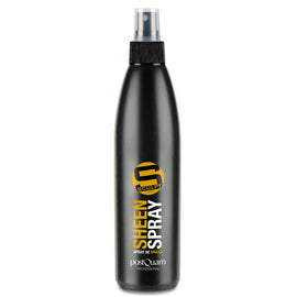Spray brillant 150ml - Clicktofournisseur.com