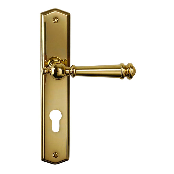 2 poignées de porte ATTILA, Trou de cylindre - entrée - bureau - service, Finition laiton poli doré, Entraxe standard 195 mm