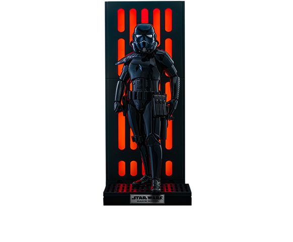 Product Image-3