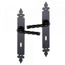 2 poignées de porte sur plaque NANTUA, Entrée de clé pour chambre, Finition aluminium noir, Entraxe standard 195 mm