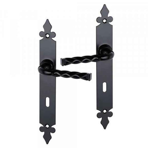 2 poignées de porte sur plaque NANTUA, Entrée de clé pour chambre, Finition aluminium noir, Entraxe standard 195 mm