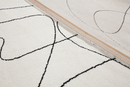 Tapis de salon moderne tissé plat PENNY-16