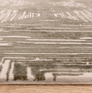 Tapis de salon moderne salon et chambre ZUKA SKETCH