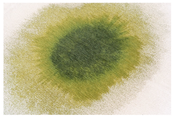 Tapis moderne tissé plat GLOBE