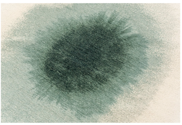 Tapis moderne tissé plat GLOBE