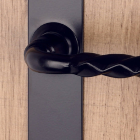 2 poignées de porte sur plaque NANTUA, Trou de cylindre - entrée - bureau, Finition aluminium noir, Entraxe standard 195 mm