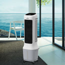 Ventilateur-rafraichisseur-FANELITE-DF-AF1302DF-situation