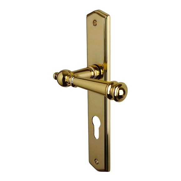 2 poignées de porte ATTILA, Trou de cylindre - entrée - bureau - service, Finition laiton poli doré, Entraxe standard 195 mm