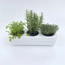 Kit potager urbain semi-hydroponique triple - blanc