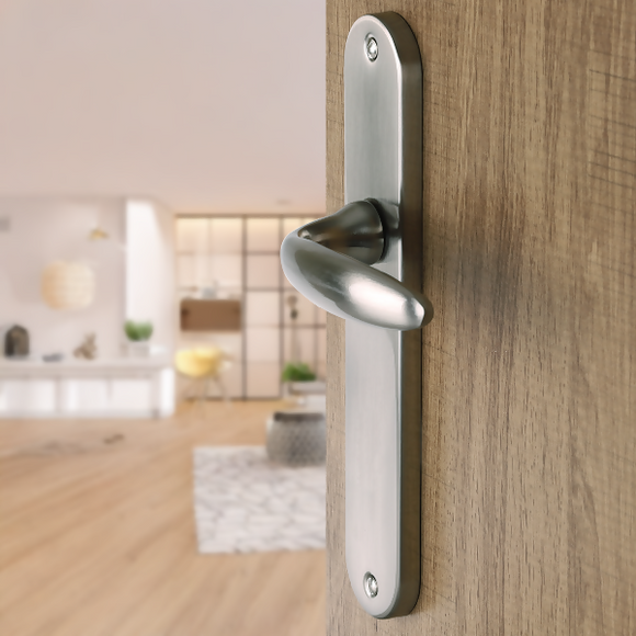 2 poignées de porte sur plaque CHAMBON, Sans trou pour pièce à vivre, Finition aluminium nickel mat, Entraxe standard 195 mm
