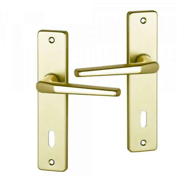 2 poignées de porte sur plaque CHAMONIX, Entrée de clé pour chambre, Finition aluminium anodisé F2 doré, Entraxe 165 mm